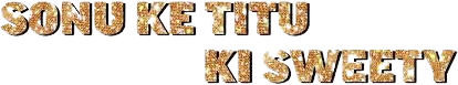 Sonu Ke Titu Ki Sweety logo