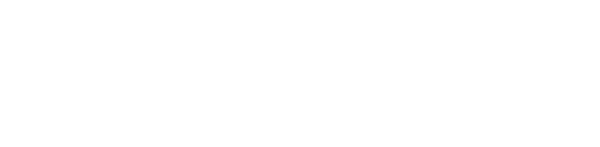 The Fighter logo
