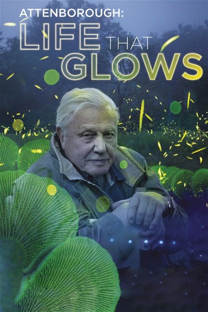 Poster for Attenborough's Life That Glows