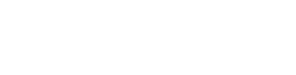 Half Nelson logo