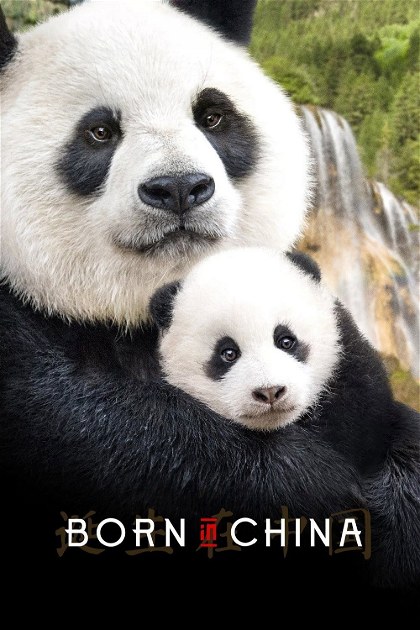 Poster for Born in China