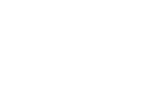 London Fields logo