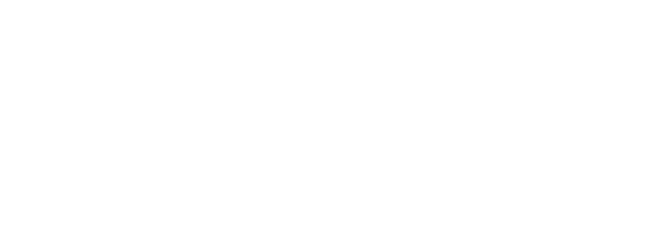 No Other Choice logo