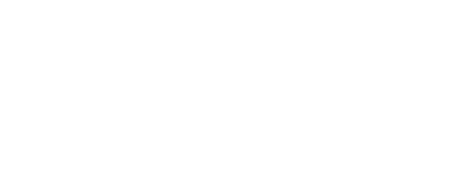 Havoc logo