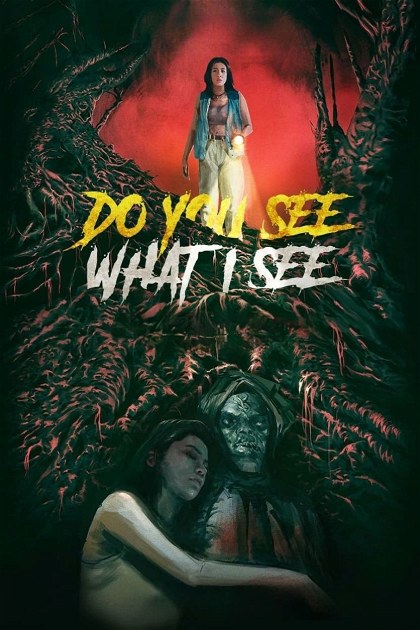 Poster for Do You See What I See