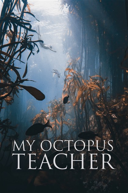 Poster for My Octopus Teacher (2020) [1080p WEB-DL]