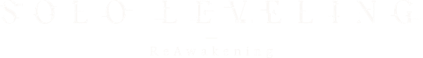 Solo Leveling -ReAwakening- logo
