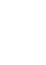 Too Big to Fail logo
