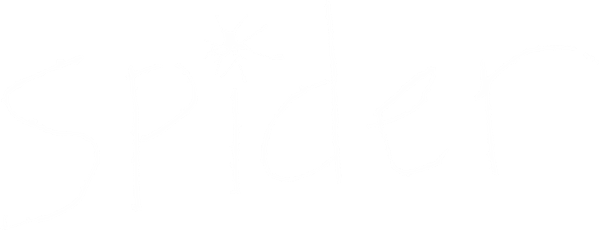 Spider logo