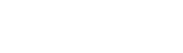 Fast & Furious logo