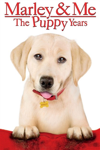 Poster for Marley & Me: The Puppy Years