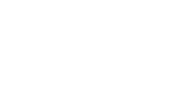 Le Brio logo