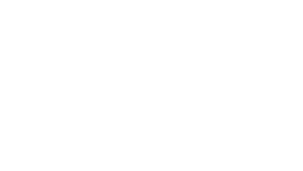 12 Strong logo