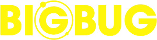 Bigbug logo