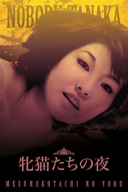 Poster for Night of the Felines