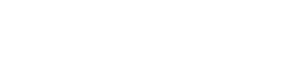 mid90s logo