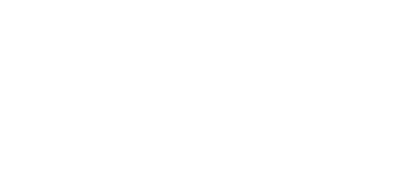 Donkey Skin logo