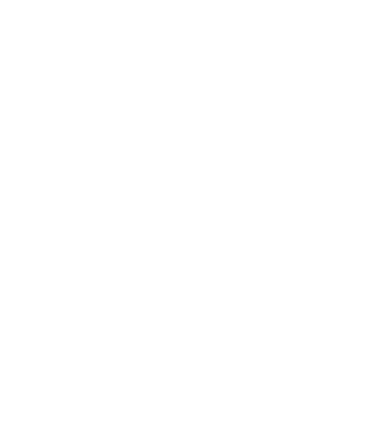 Big Brown Eyes logo