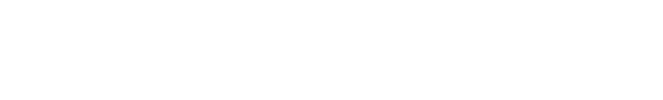 The Time Traveler's Wife logo