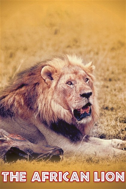 Poster for The African Lion